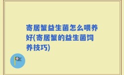 寄居蟹益生菌怎么喂养好(寄居蟹的益生菌饲养技巧)
