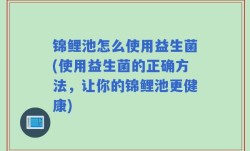 锦鲤池怎么使用益生菌(使用益生菌的正确方法，让你的锦鲤池更健康)