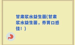 甘肃浆水益生菌(甘肃浆水益生菌，养胃口感佳！)