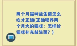 两个月猫咪益生菌怎么吃才正确(正确喂养两个月大的猫咪：怎样给猫咪补充益生菌？)