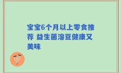 宝宝6个月以上零食推荐 益生菌溶豆健康又美味