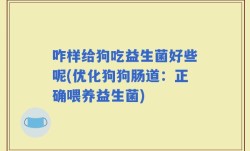 咋样给狗吃益生菌好些呢(优化狗狗肠道：正确喂养益生菌)