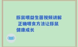 豚鼠喂益生菌视频讲解 正确喂食方法让豚鼠健康成长