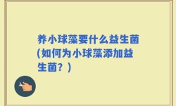 养小球藻要什么益生菌(如何为小球藻添加益生菌？)