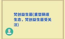 梵创益生菌(重塑肠道生态，梵创益生菌受关注)