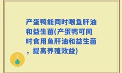 产蛋鸭能同时喂鱼肝油和益生菌(产蛋鸭可同时食用鱼肝油和益生菌，提高养殖效益)