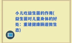 小儿吃益生菌的作用(益生菌对儿童身体的好处：重建健康肠道微生态)