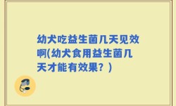 幼犬吃益生菌几天见效啊(幼犬食用益生菌几天才能有效果？)