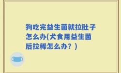 狗吃完益生菌就拉肚子怎么办(犬食用益生菌后拉稀怎么办？)