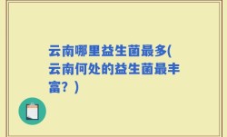 云南哪里益生菌最多(云南何处的益生菌最丰富？)