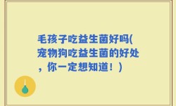 毛孩子吃益生菌好吗(宠物狗吃益生菌的好处，你一定想知道！)