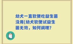 幼犬一直软便吃益生菌没用(幼犬软便试益生菌无效，如何调理？