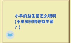 小羊的益生菌怎么喂啊(小羊如何喂养益生菌？)