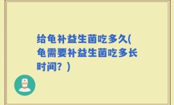 给龟补益生菌吃多久(龟需要补益生菌吃多长时间？)