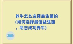 养牛怎么选择益生菌的(如何选择最佳益生菌，助您成功养牛)