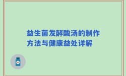 益生菌发酵酸汤的制作方法与健康益处详解