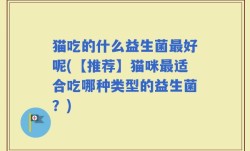 猫吃的什么益生菌最好呢(【推荐】猫咪最适合吃哪种类型的益生菌？)