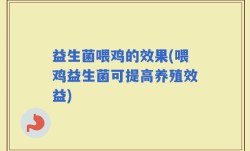 益生菌喂鸡的效果(喂鸡益生菌可提高养殖效益)