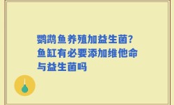 鹦鹉鱼养殖加益生菌？鱼缸有必要添加维他命与益生菌吗