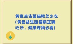 黄色益生菌猫粮怎么吃(黄色益生菌猫粮正确吃法，健康宠物必看)