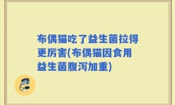 布偶猫吃了益生菌拉得更厉害(布偶猫因食用益生菌腹泻加重)