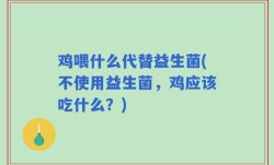 鸡喂什么代替益生菌(不使用益生菌，鸡应该吃什么？)