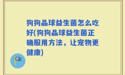 狗狗晶球益生菌怎么吃好(狗狗晶球益生菌正确服用方法，让宠物更健康)