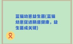 蓝猫幼崽益生菌(蓝猫幼崽促进肠道健康，益生菌成关键)