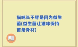 猫咪长不胖是因为益生菌(益生菌让猫咪保持苗条身材)