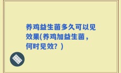养鸡益生菌多久可以见效果(养鸡加益生菌，何时见效？)