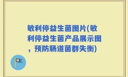 敏利停益生菌图片(敏利停益生菌产品展示图，预防肠道菌群失衡)