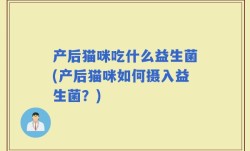 产后猫咪吃什么益生菌(产后猫咪如何摄入益生菌？)