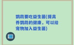 鹦鹉要吃益生菌(提高养鹦鹉的健康，可以给宠物加入益生菌)