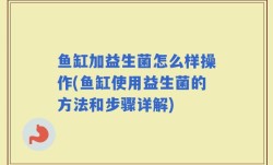 鱼缸加益生菌怎么样操作(鱼缸使用益生菌的方法和步骤详解)
