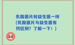 乳酸菌片和益生菌一样(乳酸菌片与益生菌有何区别？了解一下！)