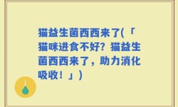 猫益生菌西西来了(「猫咪进食不好？猫益生菌西西来了，助力消化吸收！」)