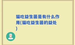 猫吃益生菌是有什么作用(猫吃益生菌的益处)