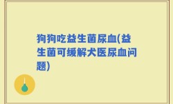 狗狗吃益生菌尿血(益生菌可缓解犬医尿血问题)