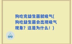 狗吃完益生菌就吸气(狗吃益生菌会出现吸气现象？这是为什么！)