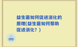 益生菌如何促进消化的原理(益生菌如何帮助促进消化？)