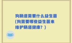 狗肠道需要什么益生菌(狗需要哪些益生菌来维护肠道健康？)