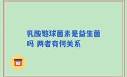 乳酸链球菌素是益生菌吗 两者有何关系