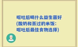 呕吐后喝什么益生菌好(酸奶和蒸过的米饭：呕吐后最佳食物选择)