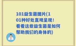 101益生菌图片(101种好处直观呈现！看看这些益生菌是如何帮助我们的身体的)