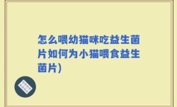 怎么喂幼猫咪吃益生菌片如何为小猫喂食益生菌片)