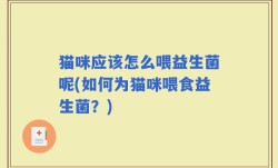 猫咪应该怎么喂益生菌呢(如何为猫咪喂食益生菌？)