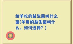 给羊吃的益生菌叫什么菌(羊用的益生菌叫什么，如何选择？)