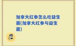 加拿大红参怎么吃益生菌(加拿大红参与益生菌)