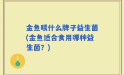 金鱼喂什么牌子益生菌(金鱼适合食用哪种益生菌？)