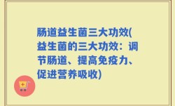 肠道益生菌三大功效(益生菌的三大功效：调节肠道、提高免疫力、促进营养吸收)